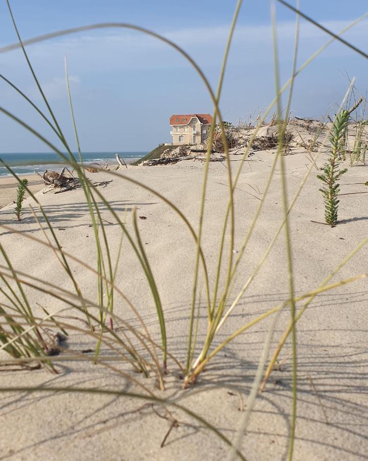 Residence Gascogne \ Appartement 116 Biscarrosse Eksteriør bilde