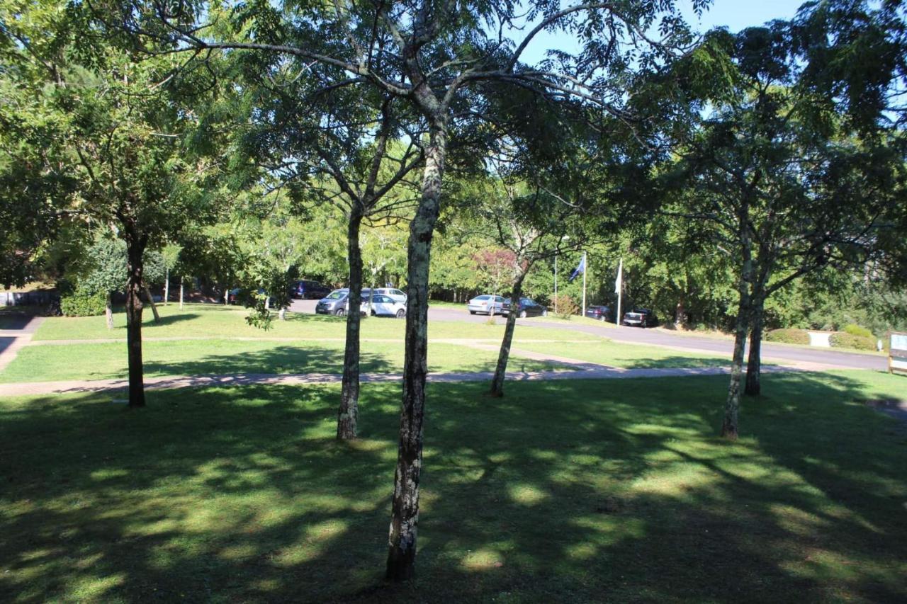 Residence Gascogne \ Appartement 116 Biscarrosse Eksteriør bilde